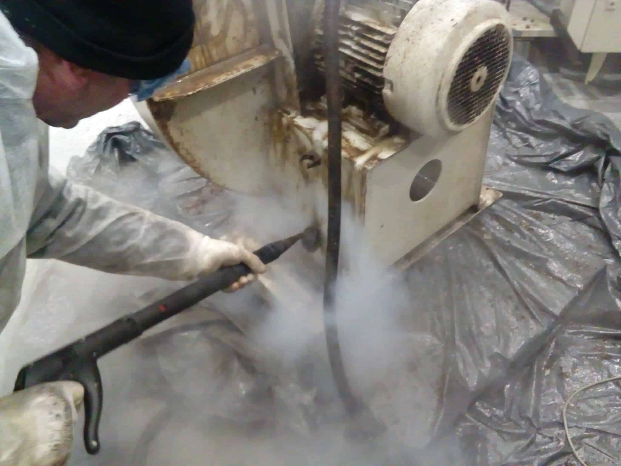 Industrijsko čišćenje parom u realnom okruženju – primer primene