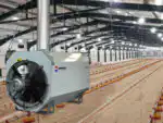 Moderna živinarska farma koristi BIEMMEDUE CH 100, 98,48 kW ventilacioni sistem sa velikim ventilatorom i stanicama za hranjenje koje oblažu dobro osvetljenu štalu.