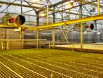 Unutrašnji staklenik sija toplo sa sadnicama pod industrijskim svetlima, nadzemnim cevima i ventilacionim otvorima, odražavajući BIEMMEDUE FARM 85 uslove.