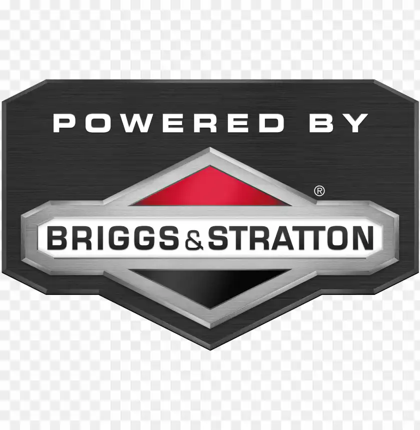 Briggs & Stratton Engine